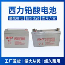 SEHEYNPG90-12Ǧά12V90AHʽֱUPS/EPSⲹˮ