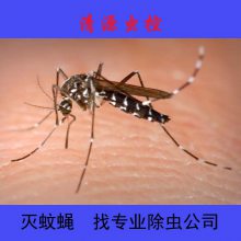 ԴأʳƷۺϳ溦鳧 溦Ʒ