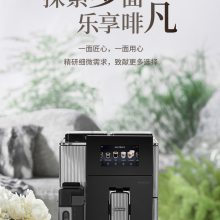 delonghi/ Maestosa˫ȫԶȻEPAM960.75.GLM