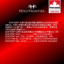 加拿大石油 Petro-Canada 天然气发动机油 SENTRON?