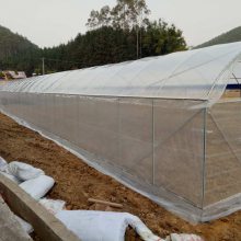 连栋蔬菜大棚建设 塑料大棚价格 福建蔬菜大棚厂家