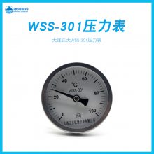 ɽݸ˻±ôWSS-301˫