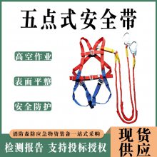 户外施工五点式安全带登山攀岩防坠落保护装备应急救援防护带