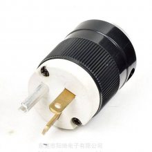 NEMA 5-15P ʽ׹ҵ˫Դͷ1*** 125Vͷ