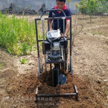 手提式植树挖坑机 多功能果树施肥打洞机 宏兴大棚水泥桩钻坑机