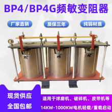 BP4G-20009/-05050ʽƵ