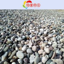 广东鹅卵石原产堆场，江门花园装饰点缀石，黑色抛光鹅卵石地铺石