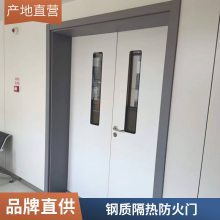 医用钢质门 定制钢制防火防盗门 哈顿