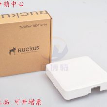 ruckus 901-R500-WW00ſAP˫Ƶǧ׽