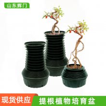 榆树提根塑料盆 一体成型植物育苗容器 园艺多肉花卉种植控根器