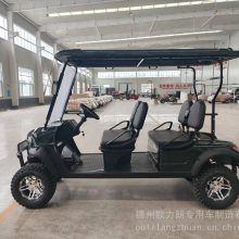 2座电动高尔夫球车 四轮球场捡球车代步车 旅游景区观光巡逻车
