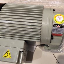 LEADERµ LIMING MOTOR CM091G90TJFB CGU09B25S15