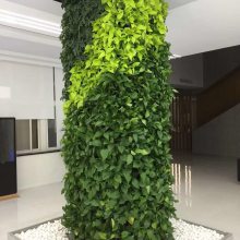 河源市室内室外植物墙设计制作安装围挡植物墙设计安装服务、垂直绿化植物墙