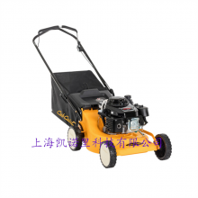 ƵCub Cadet 19CUT880ĳ̱ﶯƺƲݻ