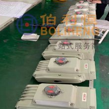 ձ֧ ŵ綯ִл BLH-40P/J ŵ綯װ
