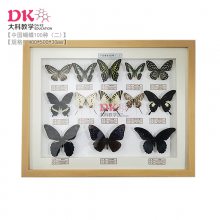 中国蝴蝶标本100种 规格40*50cm 6盒装不重复(品种随机 请慎拍)
