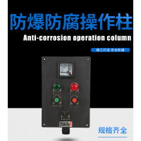LCZ8050-B2D2L ExdIICT6