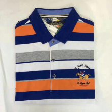 ɽpoloֱ۱·ƷԼƴ״