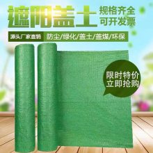 盖楼用防尘网 裸土苫盖网覆盖网 道路施工绿网