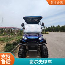 品质电动高尔夫球车 高尔夫球车 产品质量可靠 价格合理