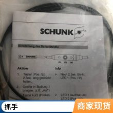 ¹ ۿ SCHUNK MMSK 22-S-PNP צ ֻ ԭװ