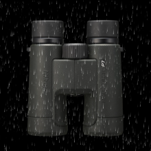 ῵PROSTAFF P7 8/10X42˫ͲԶƷ ӦԮѴԶ