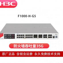 H3Cǽ F1000-H-G5 ҵǧ׺VPNȫ·