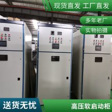 6000Vһ廯ѹZDGR-800/10Y