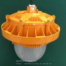 RLEEXL516-70W_RLEEXL516LED防爆灯