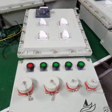 dip粉尘防爆电源插座箱厂家按图纸定做