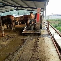 农村牛场柴油清粪车 多功能清粪排污吸粪车 浩发