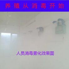 ſȫԶ豸