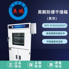 ҩ-ո-BYP070GX-ZF-6500-Ƽʵҷ