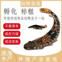 ְ  Բ 糧