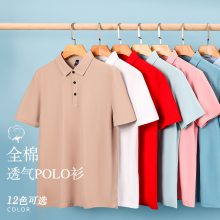 tӡlogopolo乫˾װĻF30#