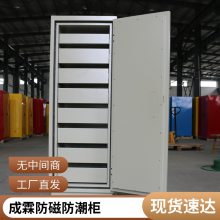 成霖档案室防消磁防潮柜U盘磁盘硬盘光盘信息柜（防磁防潮）