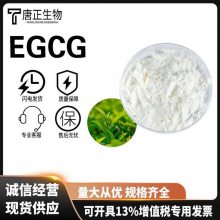 EGCG 儿茶素 绿茶提取物 茶多酚 cas 989-51-5多种规格