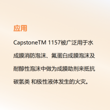 Ľ Chemours Լ Capstone? FS-3100 3.63KG/Ͱ