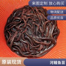 ۷ˮ 糤ڳ Ʒ*** ڶٶȿ