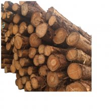 新年钜惠：日本进口桧木板材|大直径桧木原木批发
