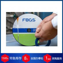 德国FBGS光栅应变传感器SG-01