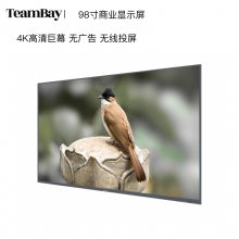 TeamBayܻƽ4K1300ͷAIȡƼ