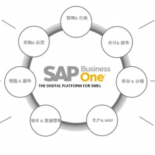 SAP Business One on HANA(SAP B1)