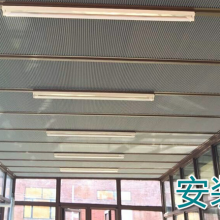 ⷿ䳲 䳲 䳲 