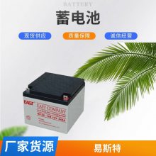 EASTNP100-12 12V-100AHǱ źϵͳר