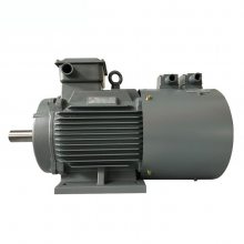 СͱƵYVFE2-112M-8A/1.5KW/IP55 HԵ ˮõ