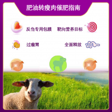 Ĥһ ţ ȥͳ ֳ***ĺòƷ