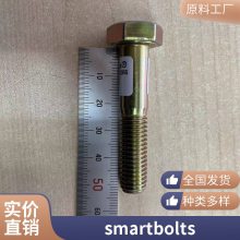GB70ɫ12.9ǿԲͷ˿ͷ˨SmartBoltS-Ӿָʾ˨