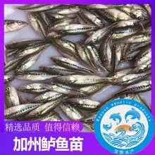 㶫麣ѱϼ۸ ˮֳ