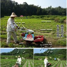 电启动开沟机图片 土豆开沟培土机 手扶自走式开沟机 林工机械